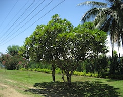 Hotel Alotau International (Alotau, Papúa Nueva Guinea)