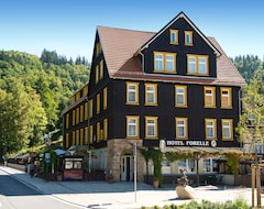 Hotelli Ferienhotel Forelle (Treseburg, Saksa)