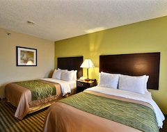 Hotel Comfort Inn & Suites St Pete - Clearwater International Airport (Clearwater, EE. UU.)
