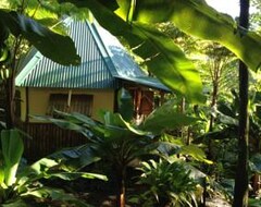 Hotel Roots Jungle Retreat (Marigot, Dominica)