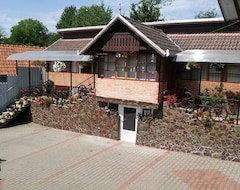 Nhà trọ Irina (Brad, Romania)