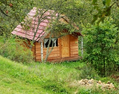 Pansion Casa Rustica Mada (Geoagiu, Rumunjska)