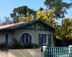 Cijela kuća/apartman Arcachon - Pyla - Pleasant Studio Full Of Charm In Villa 150 M Beach (La Teste De Buch, Francuska)