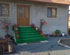 Pensión Casa Raisa & Maria (Ocna Sibiului, Rumanía)