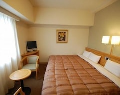 Hotel Route-Inn Hakata Ekimae -Hakataguchi- (Fukuoka, Japan)