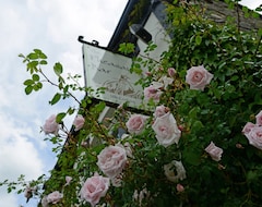 Pansiyon The Mulberry Inn (Llangollen, Birleşik Krallık)