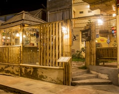 Hostel / vandrehjem La Casa De Bamboo (Ica, Peru)