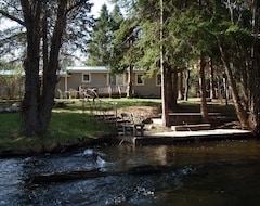 Toàn bộ căn nhà/căn hộ Charming Lodge Like Cabin On Blue Ribbon Stream Near Orv & Snowmobile Trails (Wolverine, Hoa Kỳ)