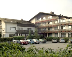 Khách sạn Hotel Am See (Roding, Đức)