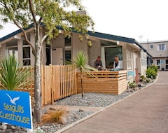 Hostel / vandrehjem Seagulls Guesthouse (Mount Maunganui, New Zealand)