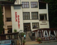 Hotelli Hotel Perla Oltului (Călimăneşti, Romania)