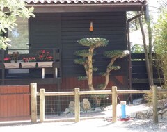 Hele huset/lejligheden Large Chalet 90m2 8 Minutes From The Ocean With Jacuzzi, (Lacanau, Frankrig)