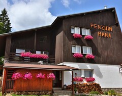 Hotelli Penzion Hana (Tanvald, Tsekin tasavalta)