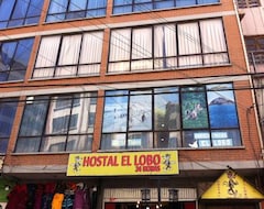 Hostel El Lobo (La Paz, Bolivya)