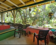 Otel Dan And Mantys Guesthouse (Las Terrenas, Dominik Cumhuriyeti)