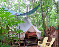 Camping Palmar Beach Lodge (Bocas del Toro, Panamá)