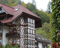 Hotel Hirsch (Bad Peterstal-Griesbach, Almanya)