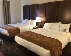 Otel Comfort Inn & Suites (Houston, ABD)