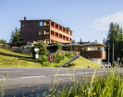 Otel Berghof Fetz (Dornbirn, Avusturya)
