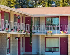 Guesthouse Motel Du Rosier (Baie-Comeau, Canada)