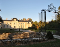 Bed & Breakfast Chateau La Touanne Loire valley (Baccon, Francuska)