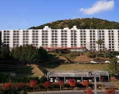 Ryokan Hotel Kirishima Castle (Kirishima, Japan)