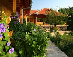Bed & Breakfast Pelican Birding Lodge (Silistra, Bun-ga-ri)