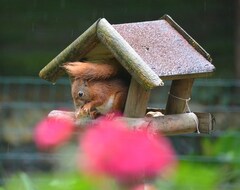 Toàn bộ căn nhà/căn hộ Casa Nel Verde, Huis In T Groen, Eersel (Eersel, Hà Lan)