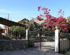 Hotelli Olive Tree Cottages (Paleochora, Kreikka)