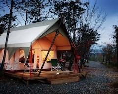 Khách sạn Pine Tree Camping (Pocheon, Hàn Quốc)