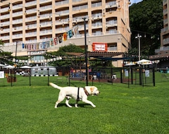 Resort/Odmaralište Sono Pet Clubs & Resorts Vivaldi Park (Hongcheon, Južna Koreja)