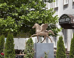 Hotel Weisses Ross (Memmingen, Alemania)