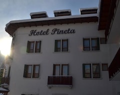 Khách sạn Pineta (Falcade, Ý)