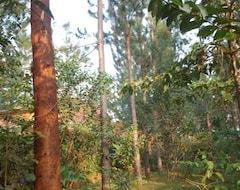Hotel Saltek Forest Cottages (Hoima, Uganda)