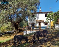 Toàn bộ căn nhà/căn hộ La Encina Casa Rural (Jabugo, Tây Ban Nha)