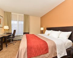 Otel Comfort Inn & Suites (Zion, ABD)