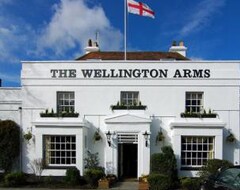 Hotelli The Wellington Arms (Basingstoke, Iso-Britannia)