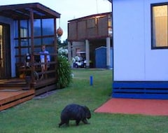 Hotel Big4 Kelso Sands Holiday & Native Wildlife Park (Launceston, Australia)