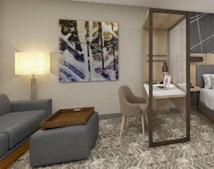 Hotel Springhill Suites By Marriott Denver Parker (Parker, USA)