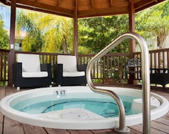 Simplistic Modern Hotel Room (Providenciales, Turks and Caicos Islands)
