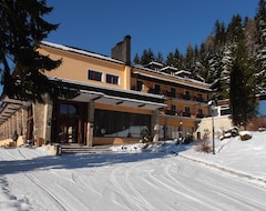 Hotel Alpenhof (Steinhaus am Semmering, Austria)