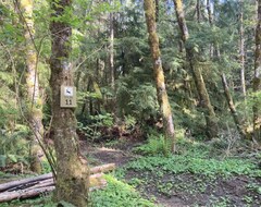 Khách sạn Primitive Tent Site #11- Beautiful Forested Property (Forks, Hoa Kỳ)