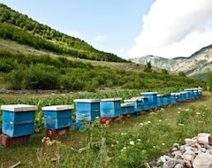 Cijela kuća/apartman Bee Eco Guest House (Fushë-Arrëz, Albanija)
