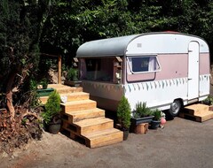Tüm Ev/Apart Daire Jemima And The Secret Garden - Adult Only, Dog Friendly Vintage Caravan (Lampeter, Birleşik Krallık)