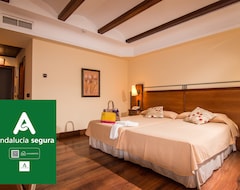 Khách sạn Hotel Abades Guadix (Guadix, Tây Ban Nha)