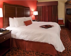 Hotel Hampton Inn & Suites Bay City (Bay City, USA)