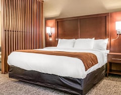 Hotel Comfort Suites Florence - Cincinnati South (Florence, EE. UU.)