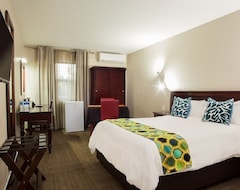 Khách sạn Hotel 247 @ White River (White River, Nam Phi)