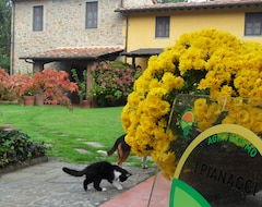 Casa rural Agriturismo I Pianacci (Uzzano, Italija)
