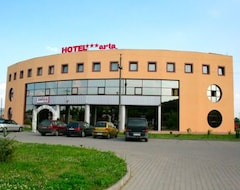 Hotel Arta (Timisoara, Romania)